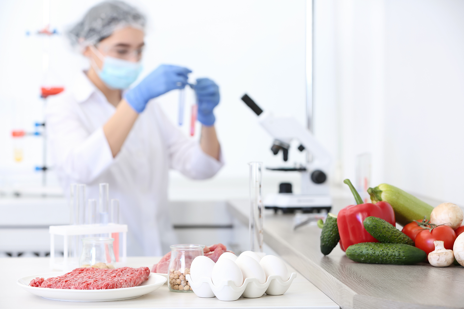 food science phd online